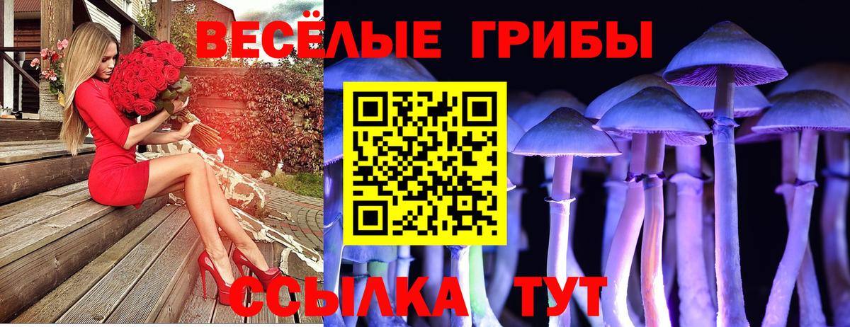Саянск  Псилоцибиновые грибы прущие грибы  Вход с VPN 